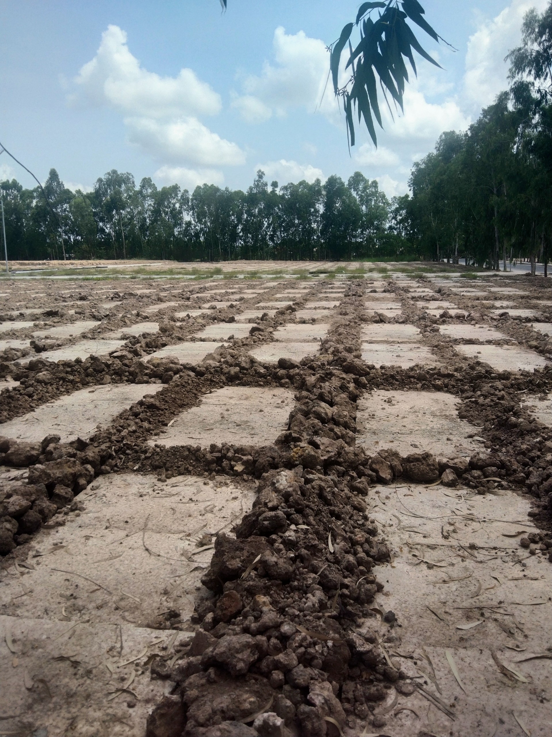 Cách bố trí khu mộ gia đình